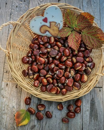 Ihr Hotel mit beheiztem Außenpool in Südtirol Ihr Hotel mit beheiztem Außenpool in Südtirol