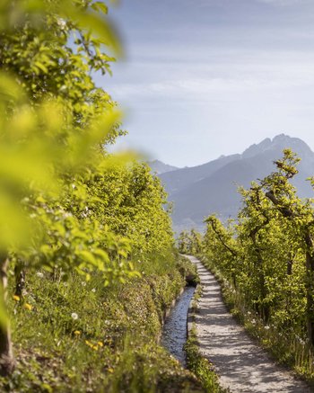 Ihr Hotel mit beheiztem Außenpool in Südtirol Ihr Hotel mit beheiztem Außenpool in Südtirol