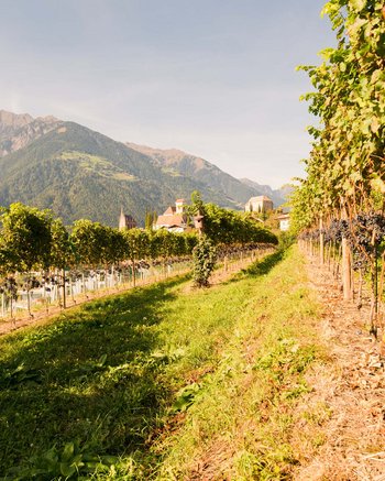 Ihr Hotel mit beheiztem Außenpool in Südtirol Ihr Hotel mit beheiztem Außenpool in Südtirol