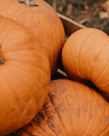 Ihr Hotel mit beheiztem Außenpool in Südtirol Ihr Hotel mit beheiztem Außenpool in Südtirol