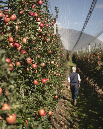 Ihr Hotel mit beheiztem Außenpool in Südtirol Ihr Hotel mit beheiztem Außenpool in Südtirol